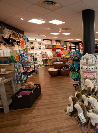 brest-oceanopolis-pose-parquet-